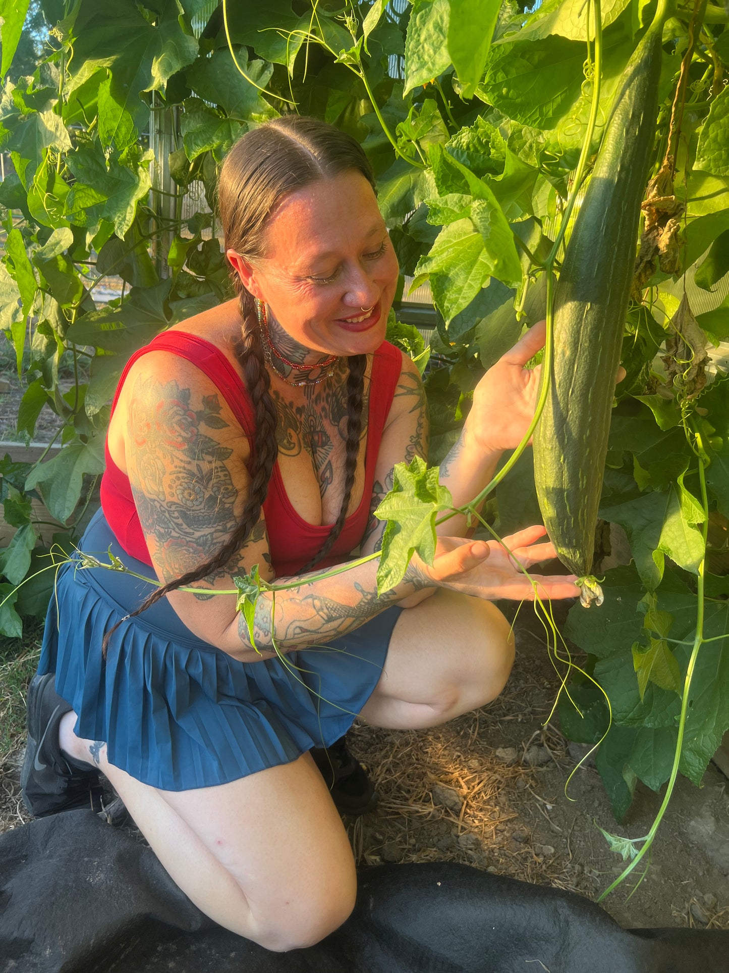Farm-Grown Luffa Sponges (whole 6” & 8” & 14” peeled gourds)