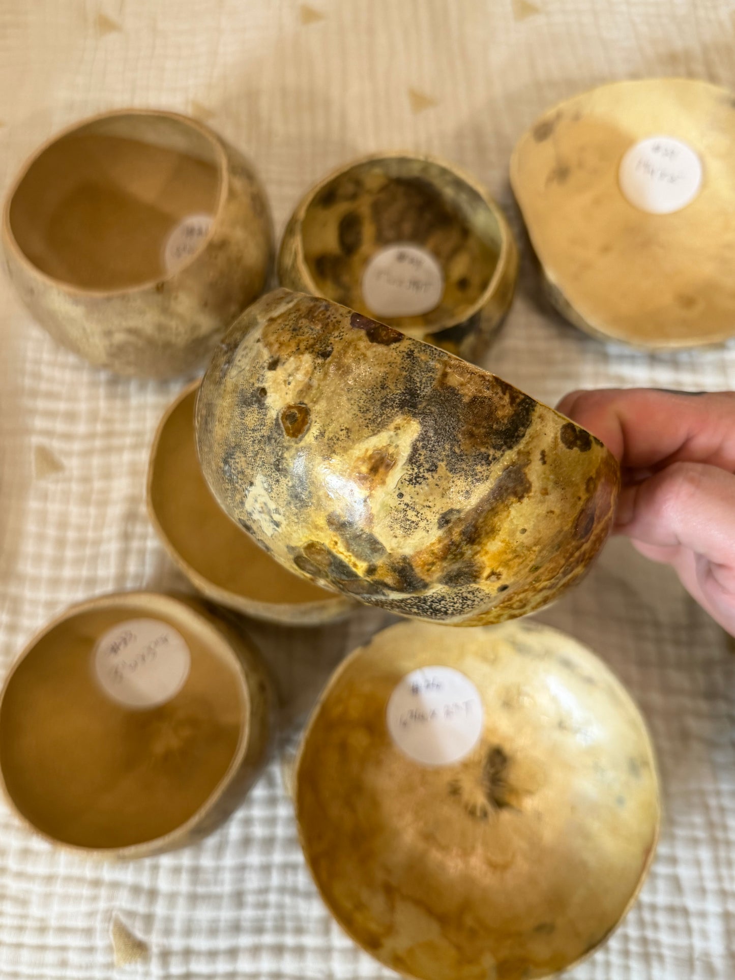 Seed-to-Bowl Gourds, Ladles, and Birdhouses (farm grown & crafted from beginning to end)