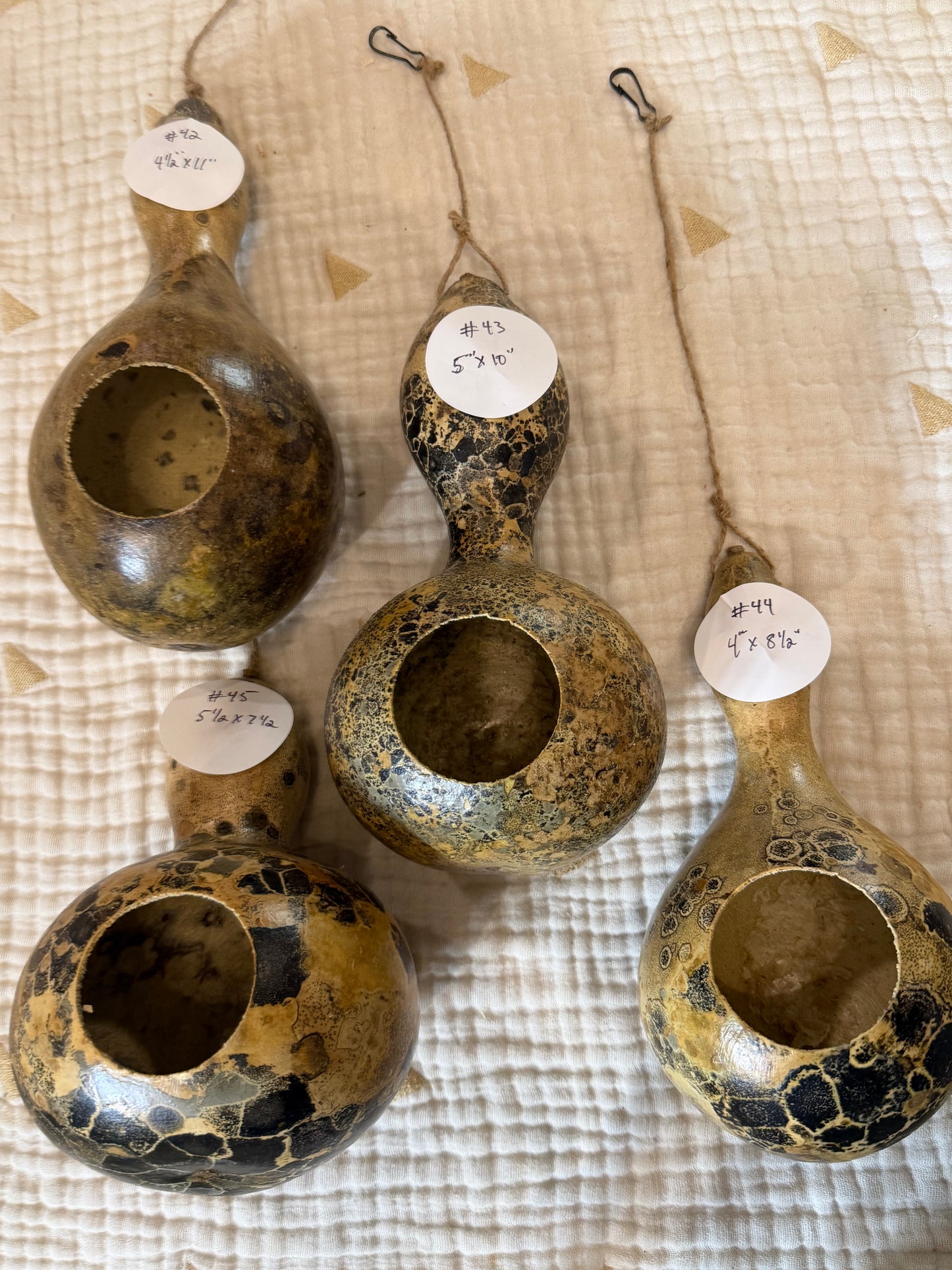 Seed-to-Bowl Gourds, Ladles, and Birdhouses (farm grown & crafted from beginning to end)