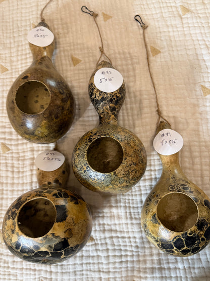 Seed-to-Bowl Gourds, Ladles, and Birdhouses (farm grown & crafted from beginning to end)