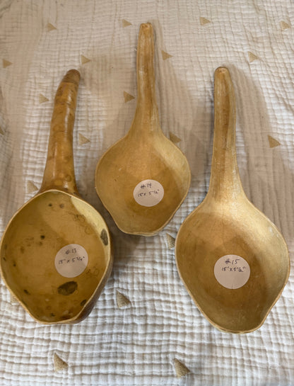 Seed-to-Bowl Gourds, Ladles, and Birdhouses (farm grown & crafted from beginning to end)