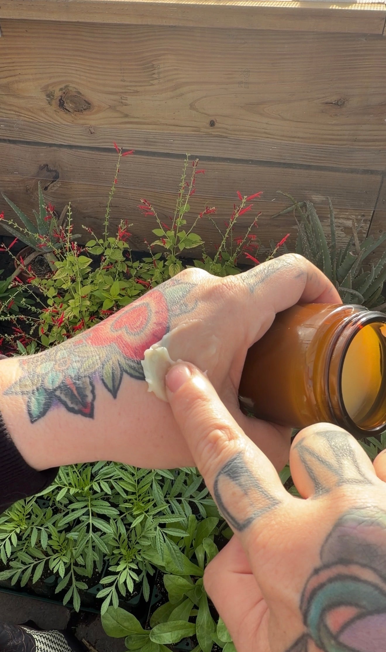 Sunshine Glow Tallow Balm (4oz glass jar)