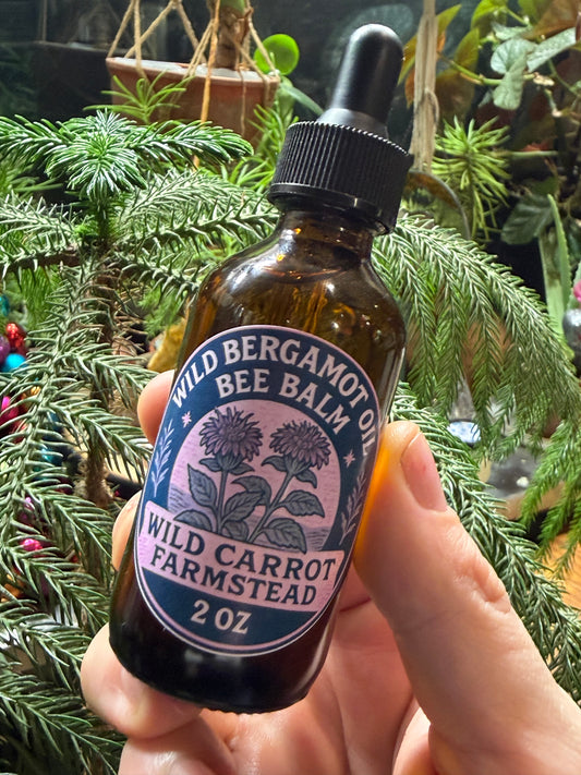 Wild Bergamot/Bee Balm Oil (2oz Dropper)