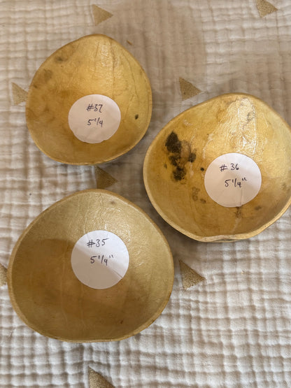 Seed-to-Bowl Gourds, Ladles, and Birdhouses (farm grown & crafted from beginning to end)