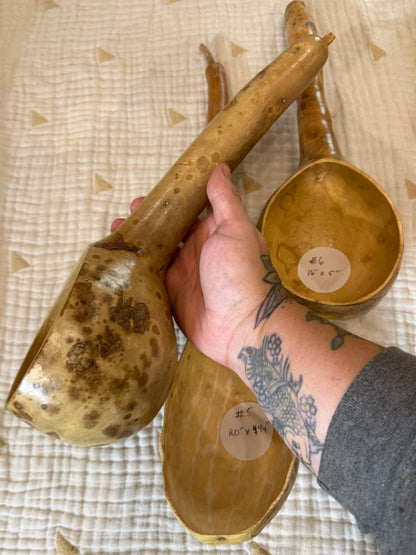 Seed-to-Bowl Gourds, Ladles, and Birdhouses (farm grown & crafted from beginning to end)