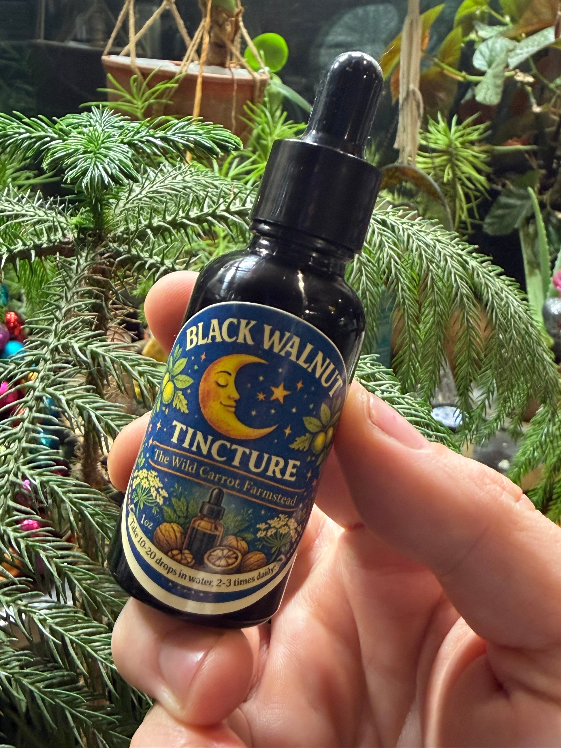 black walnut natural herbicide Black Walnut Tincture (1oz dropper) – WCFMarket
