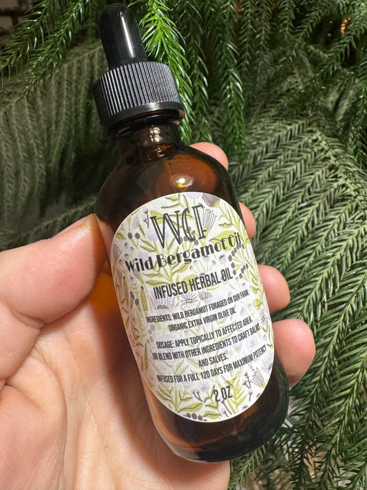 Wild Bergamot/Bee Balm Oil (2oz Dropper)