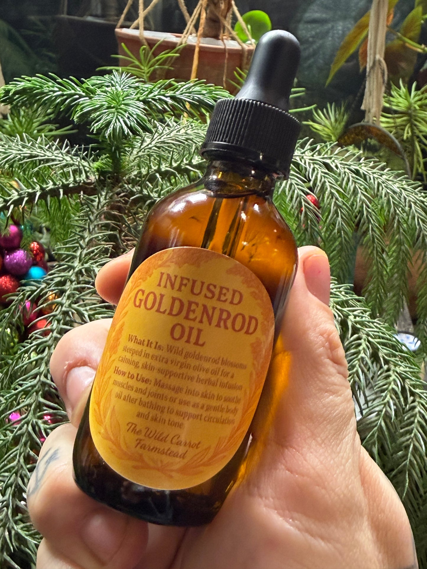 Goldenrod Infused Oil (2oz glass dropper)