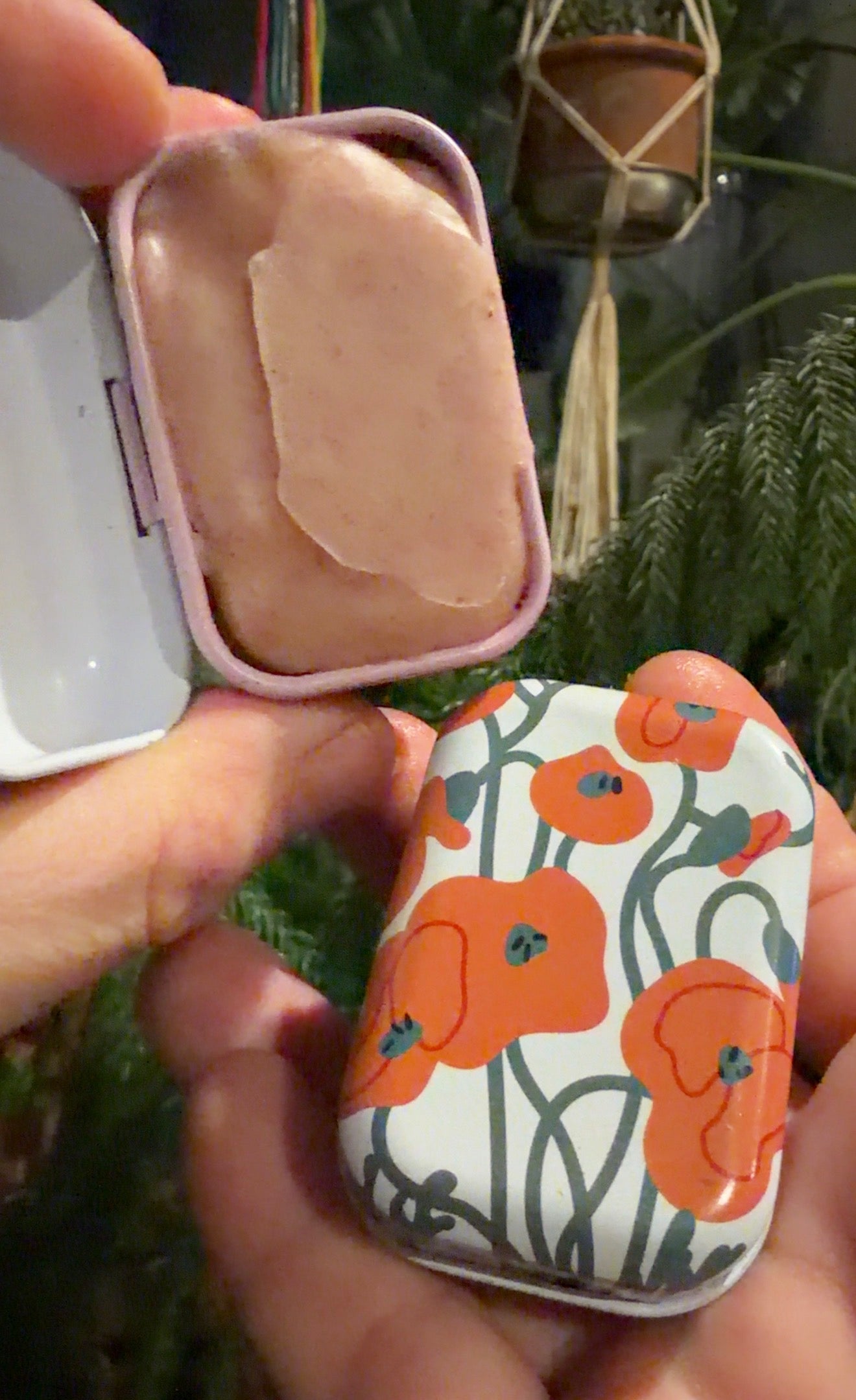 Beet Infused Goat Milk Gloss | 1 oz Tin