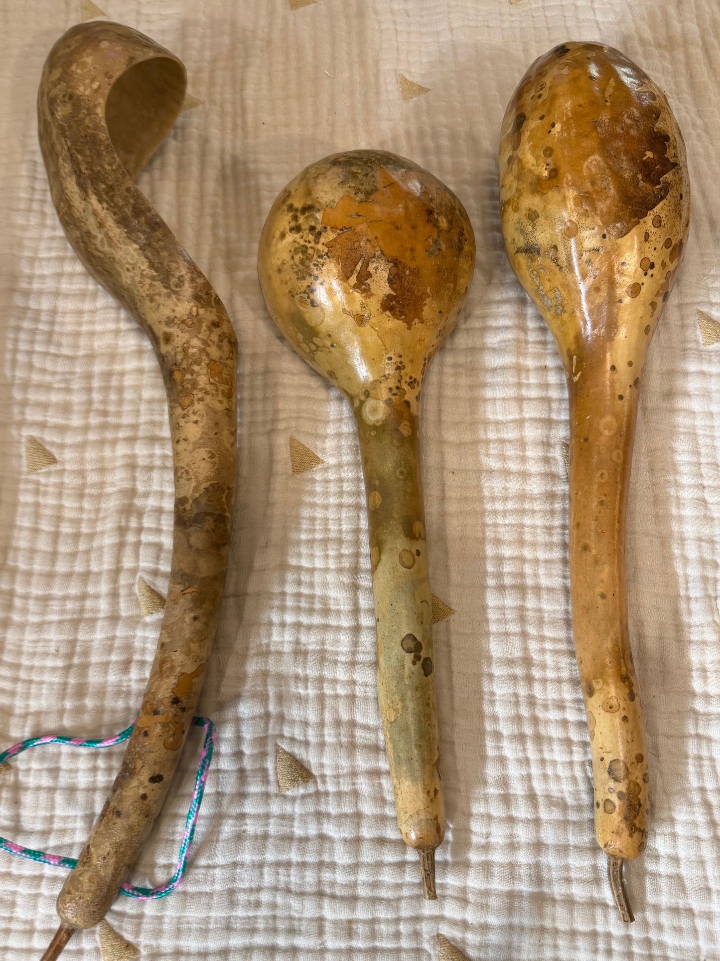 Seed-to-Bowl Gourds, Ladles, and Birdhouses (farm grown & crafted from beginning to end)