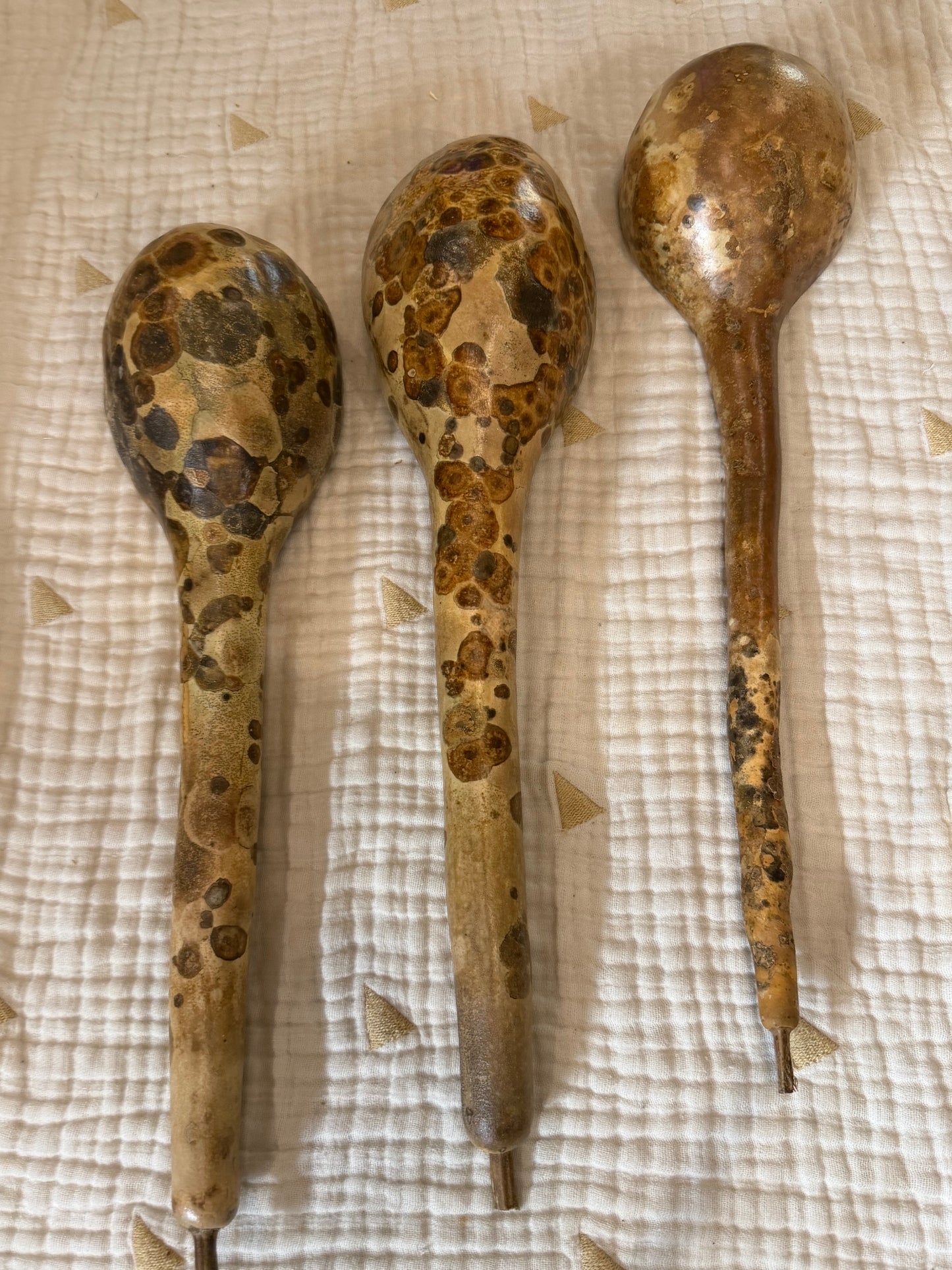 Seed-to-Bowl Gourds, Ladles, and Birdhouses (farm grown & crafted from beginning to end)