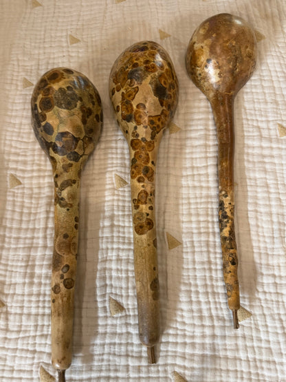 Seed-to-Bowl Gourds, Ladles, and Birdhouses (farm grown & crafted from beginning to end)