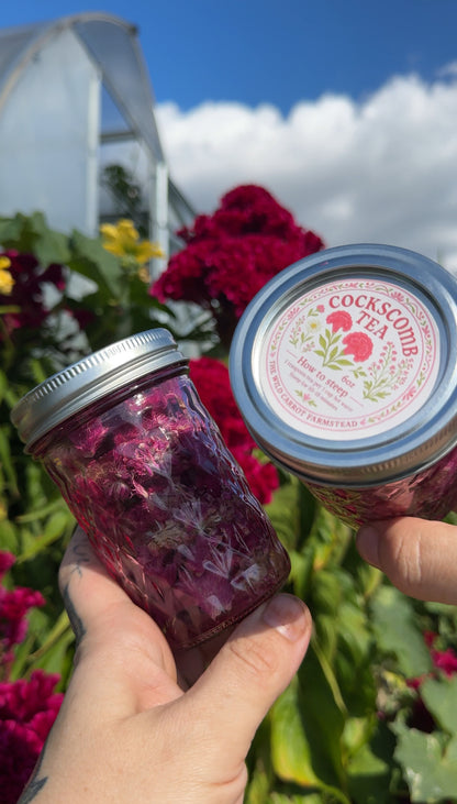 Farm-Raised & Freeze-Dried Cockscomb Tea (Celosia in 6oz pink glass mason jar)