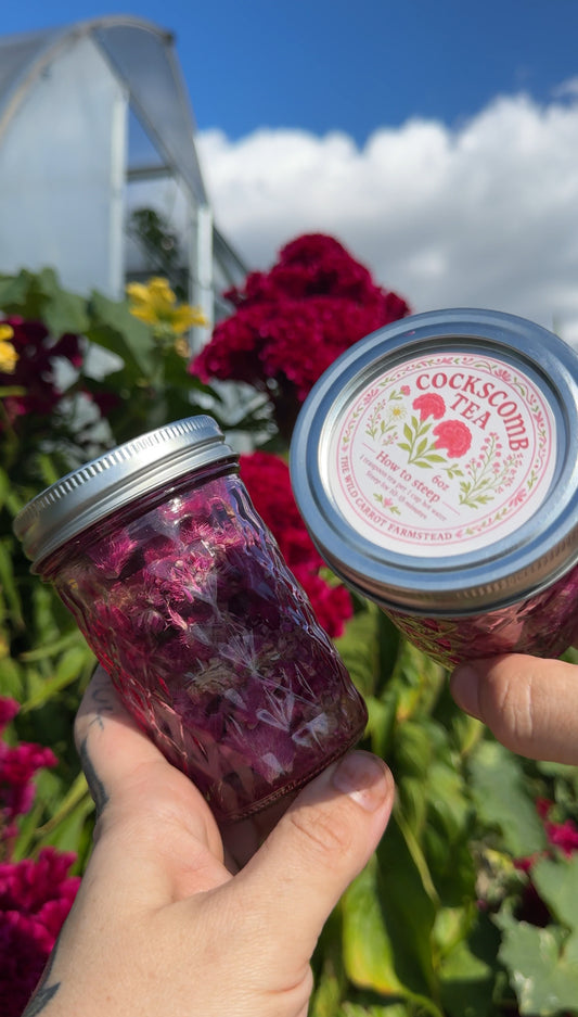 Farm-Raised & Freeze-Dried Cockscomb Tea (Celosia in 6oz pink glass mason jar)