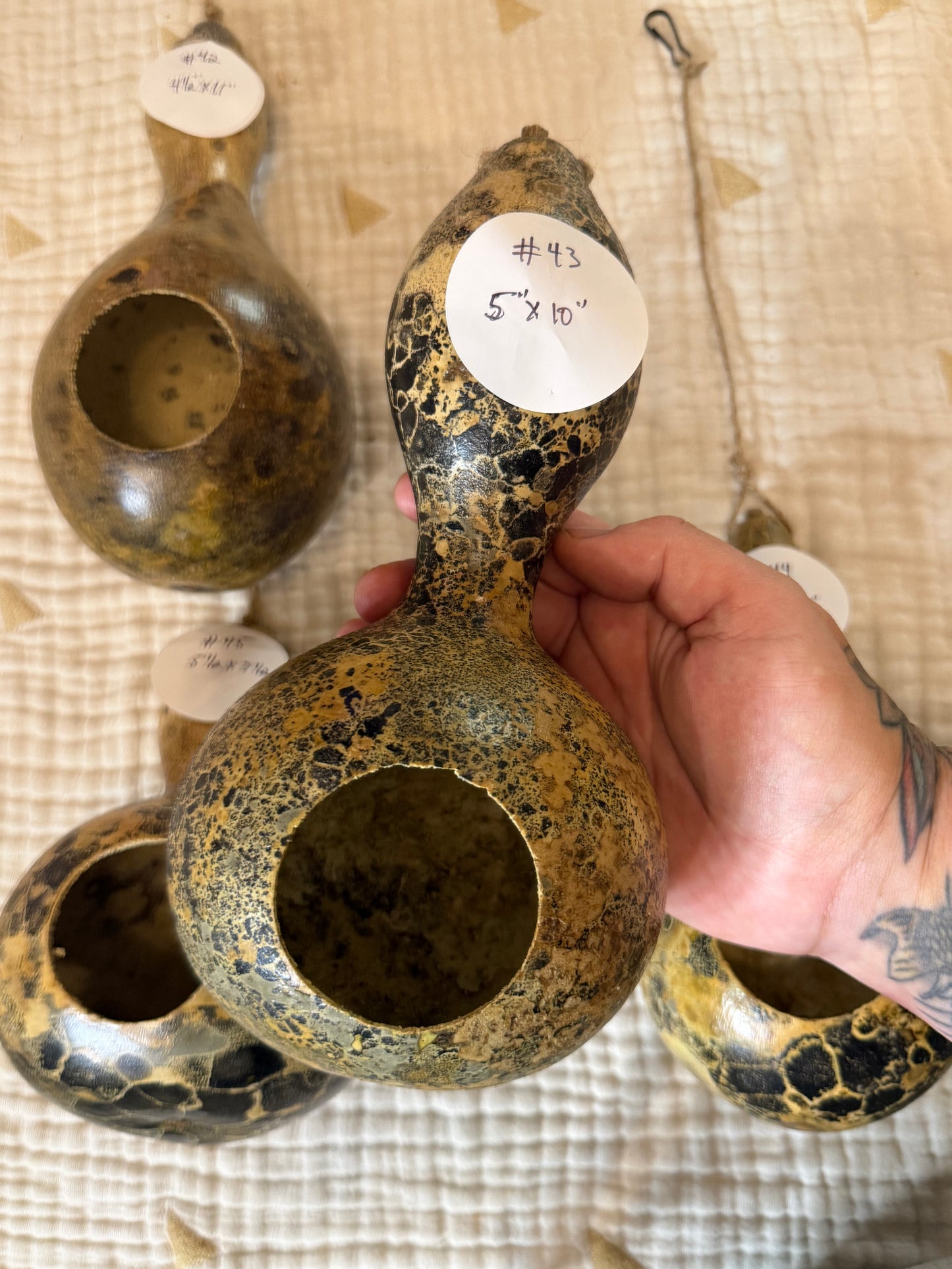 Seed-to-Bowl Gourds, Ladles, and Birdhouses (farm grown & crafted from beginning to end)