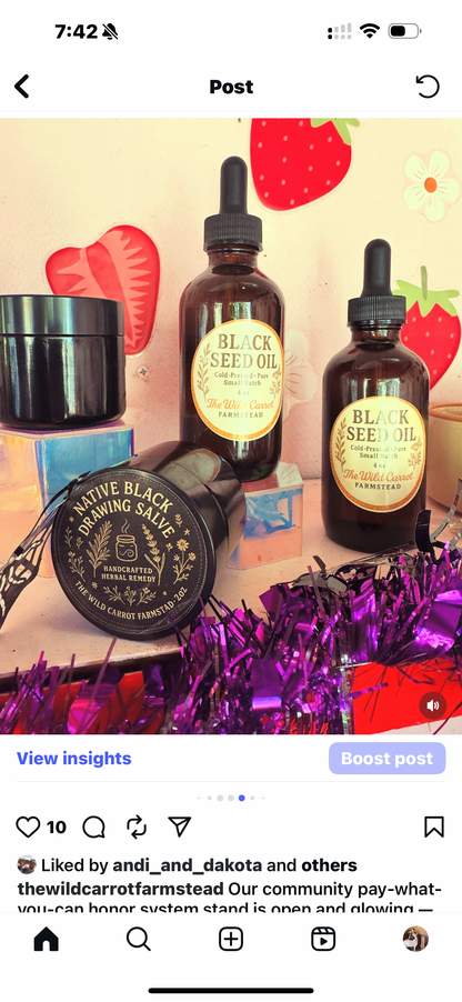 Black Seed Oil (Nigella Sativa infused Castor Oil 4oz glass dropper) *note! New packaging*