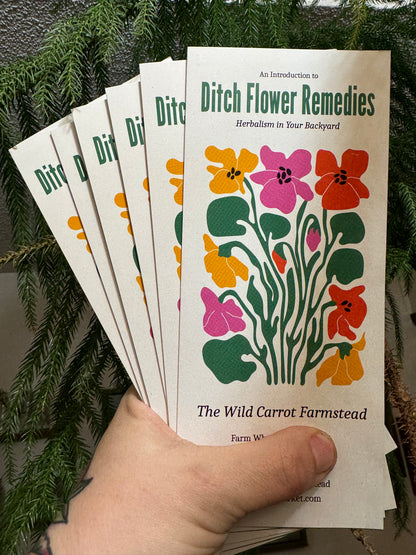 Ditch Flower Foraging: Herbalism in Your Backyard