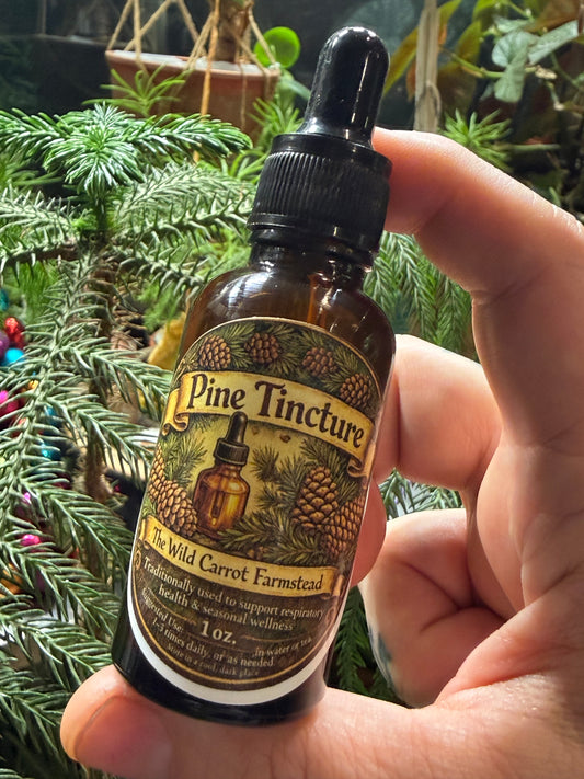 Pine Tincture (1oz glass dropper)