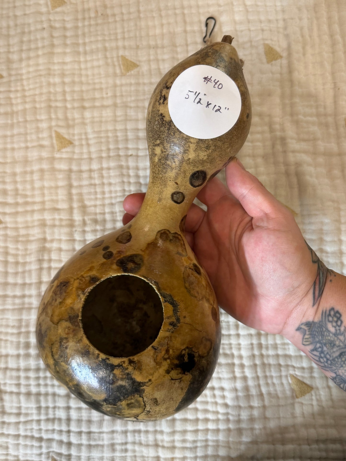 Seed-to-Bowl Gourds, Ladles, and Birdhouses (farm grown & crafted from beginning to end)