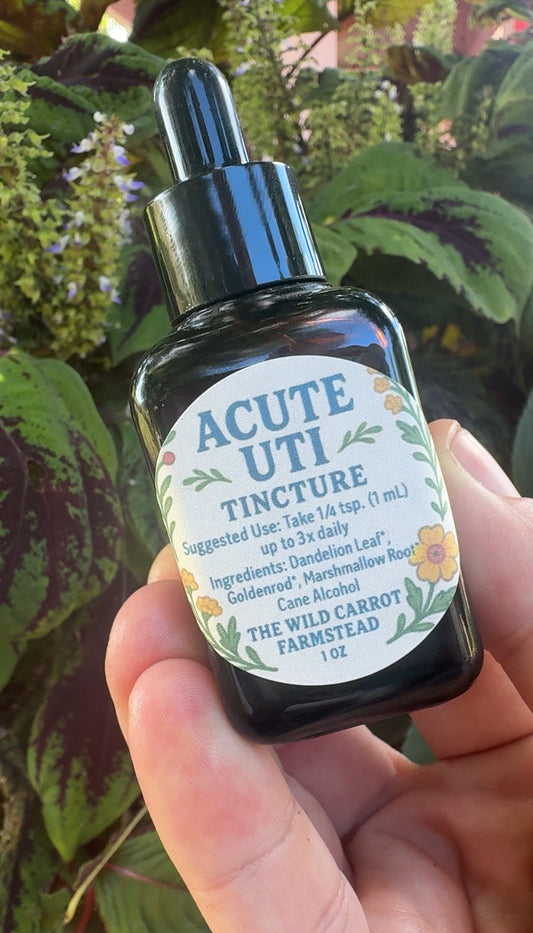 Acute UTI Tincture (1oz glass dropper)