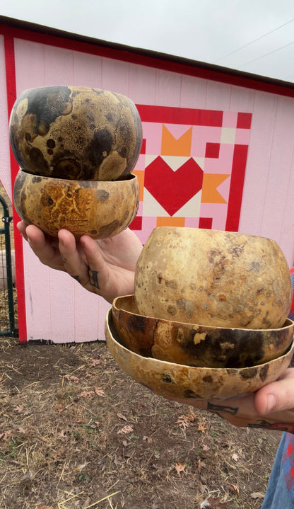 Seed-to-Bowl Gourds, Ladles, and Birdhouses (farm grown & crafted from beginning to end)