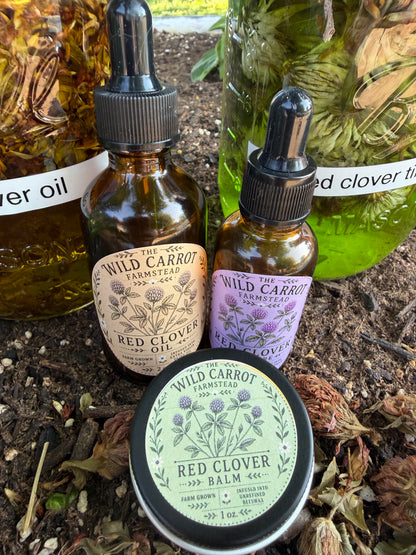 Red Clover Infused Oil (2oz amber glass dropper)