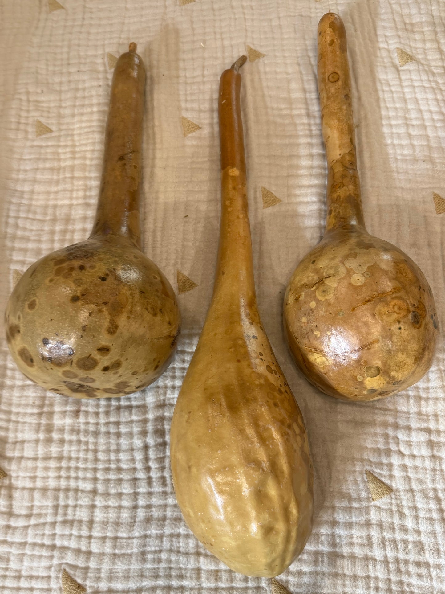 Seed-to-Bowl Gourds, Ladles, and Birdhouses (farm grown & crafted from beginning to end)