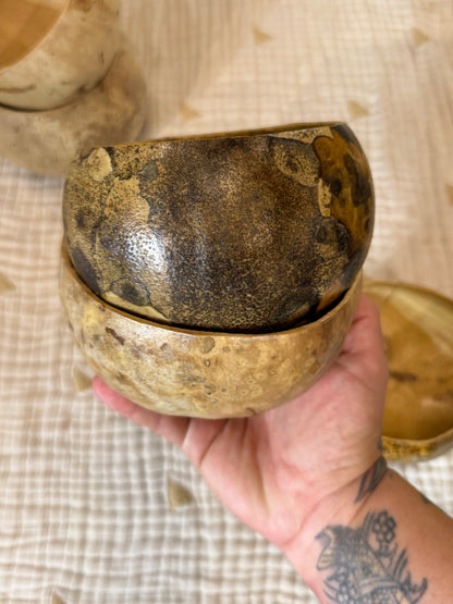 Seed-to-Bowl Gourds, Ladles, and Birdhouses (farm grown & crafted from beginning to end)