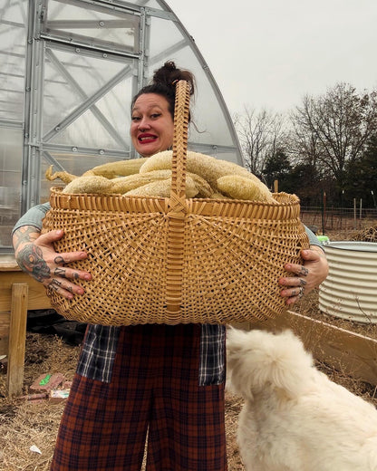 Farm-Grown Luffa Sponges (whole 6” & 8” & 14” peeled gourds)