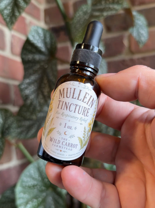 Mullein Tincture (1oz dropper bottle)
