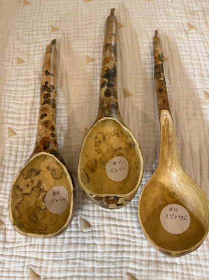 Seed-to-Bowl Gourds, Ladles, and Birdhouses (farm grown & crafted from beginning to end)