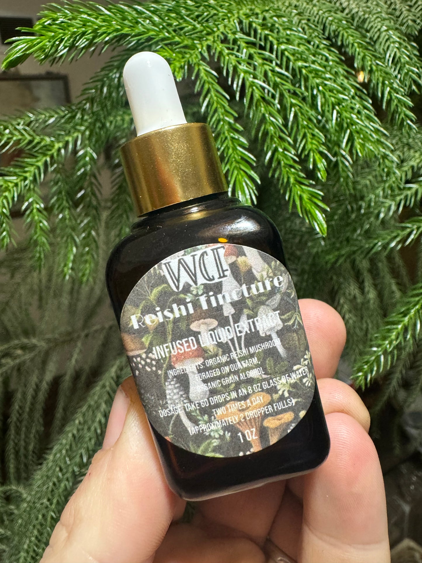 ✨SALE✨ Reishi Tincture (1oz dropper)