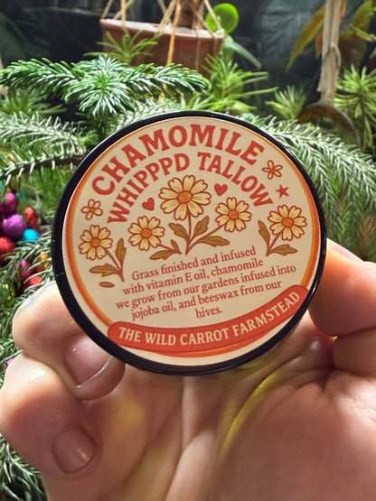 Chamomile Whipped Tallow (glass jar)