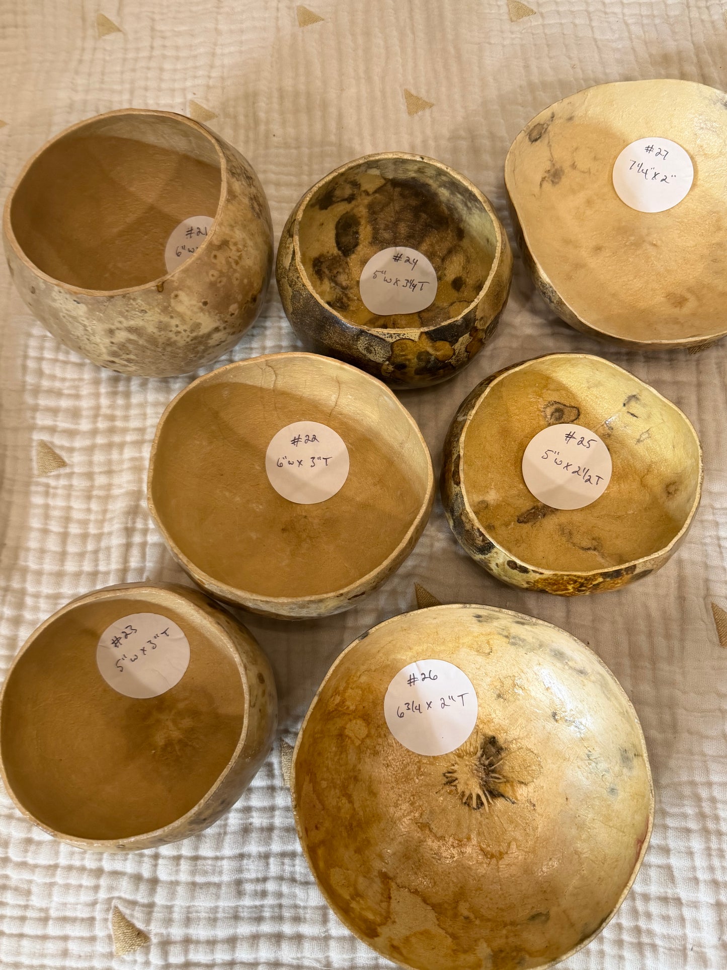 Seed-to-Bowl Gourds, Ladles, and Birdhouses (farm grown & crafted from beginning to end)