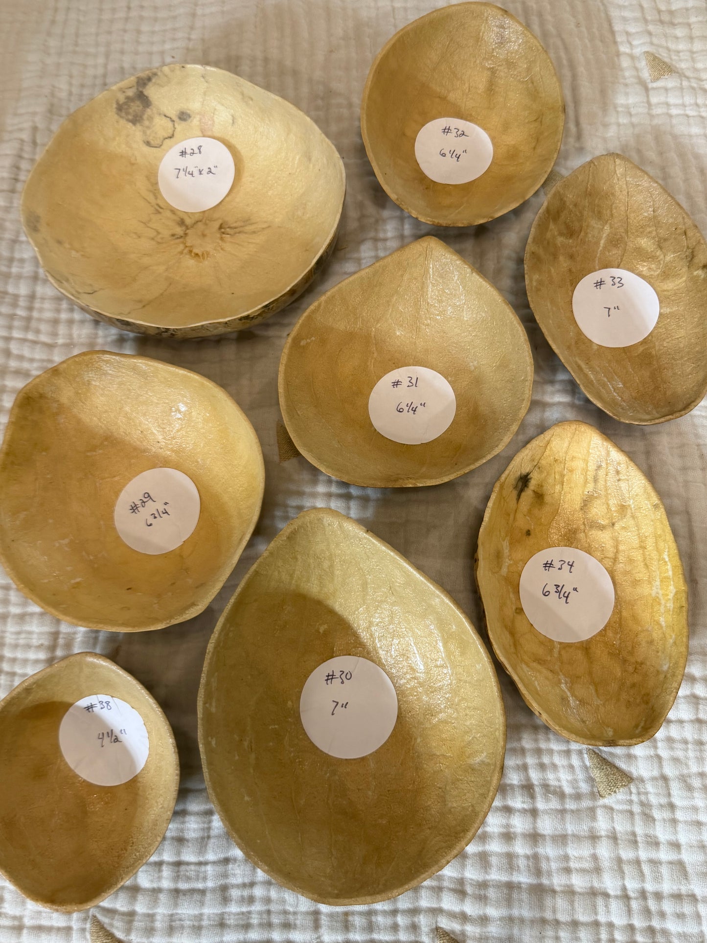 Seed-to-Bowl Gourds, Ladles, and Birdhouses (farm grown & crafted from beginning to end)