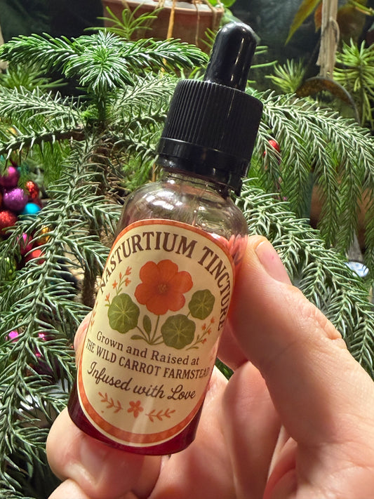 Nasturtium Tincture (2oz red glass dropper bottle)