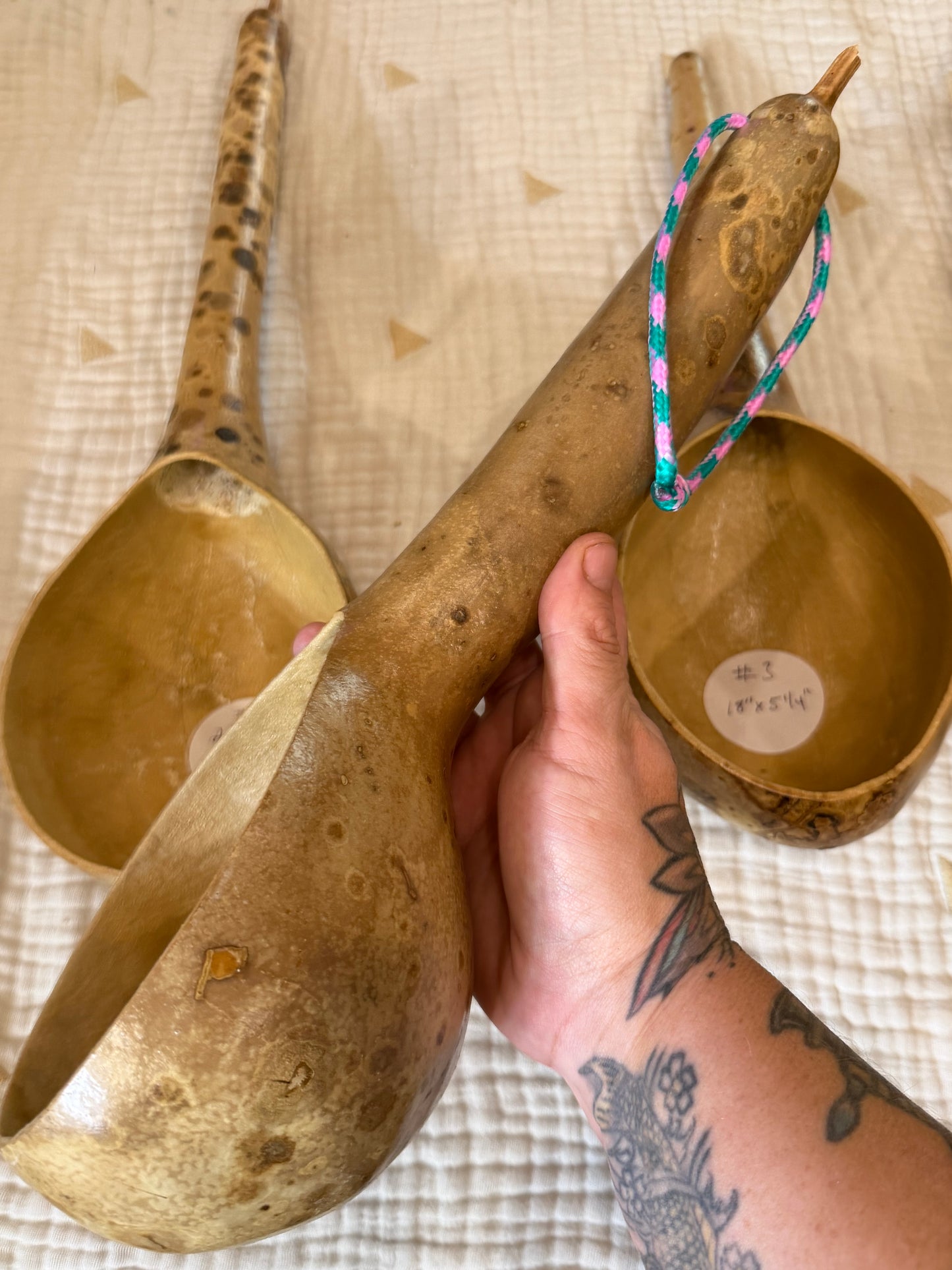 Seed-to-Bowl Gourds, Ladles, and Birdhouses (farm grown & crafted from beginning to end)