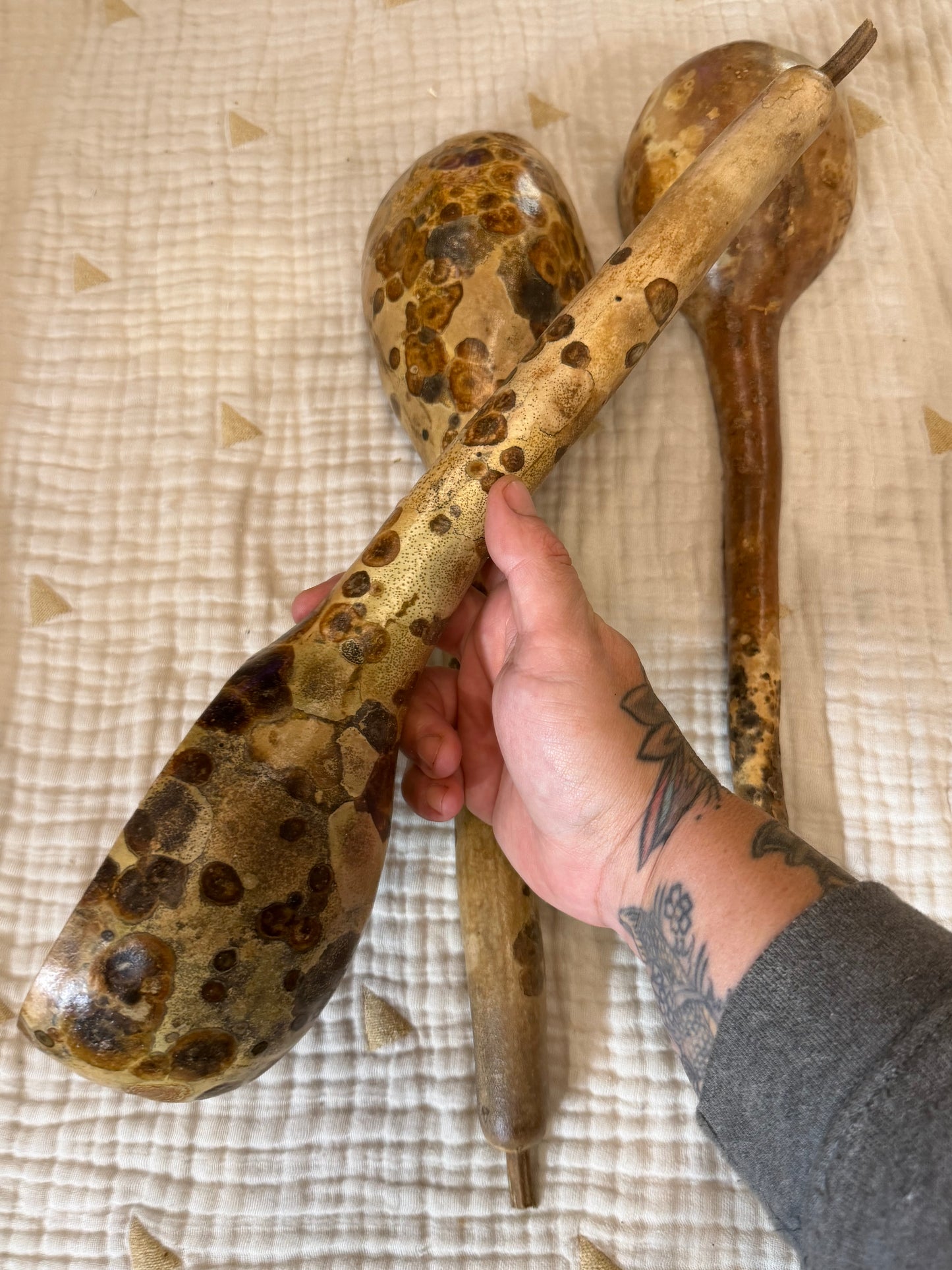 Seed-to-Bowl Gourds, Ladles, and Birdhouses (farm grown & crafted from beginning to end)