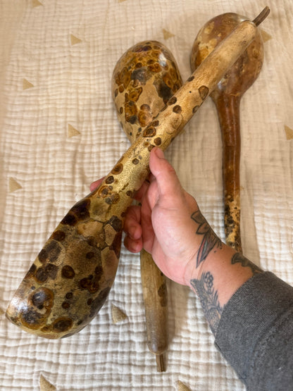 Seed-to-Bowl Gourds, Ladles, and Birdhouses (farm grown & crafted from beginning to end)