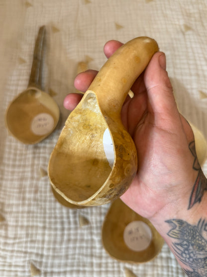 Seed-to-Bowl Gourds, Ladles, and Birdhouses (farm grown & crafted from beginning to end)