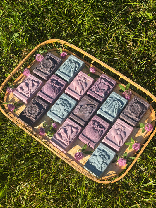Limited-Spring Inventory Seed Packet Soaps (4oz bar of citrus basil goat milk soap)