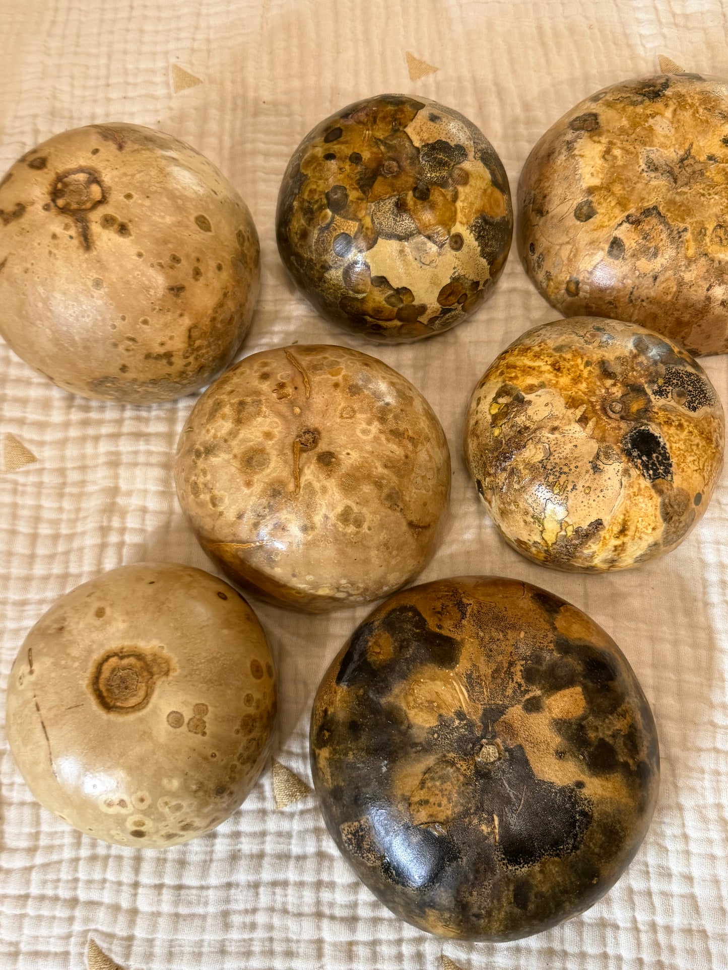 Seed-to-Bowl Gourds, Ladles, and Birdhouses (farm grown & crafted from beginning to end)