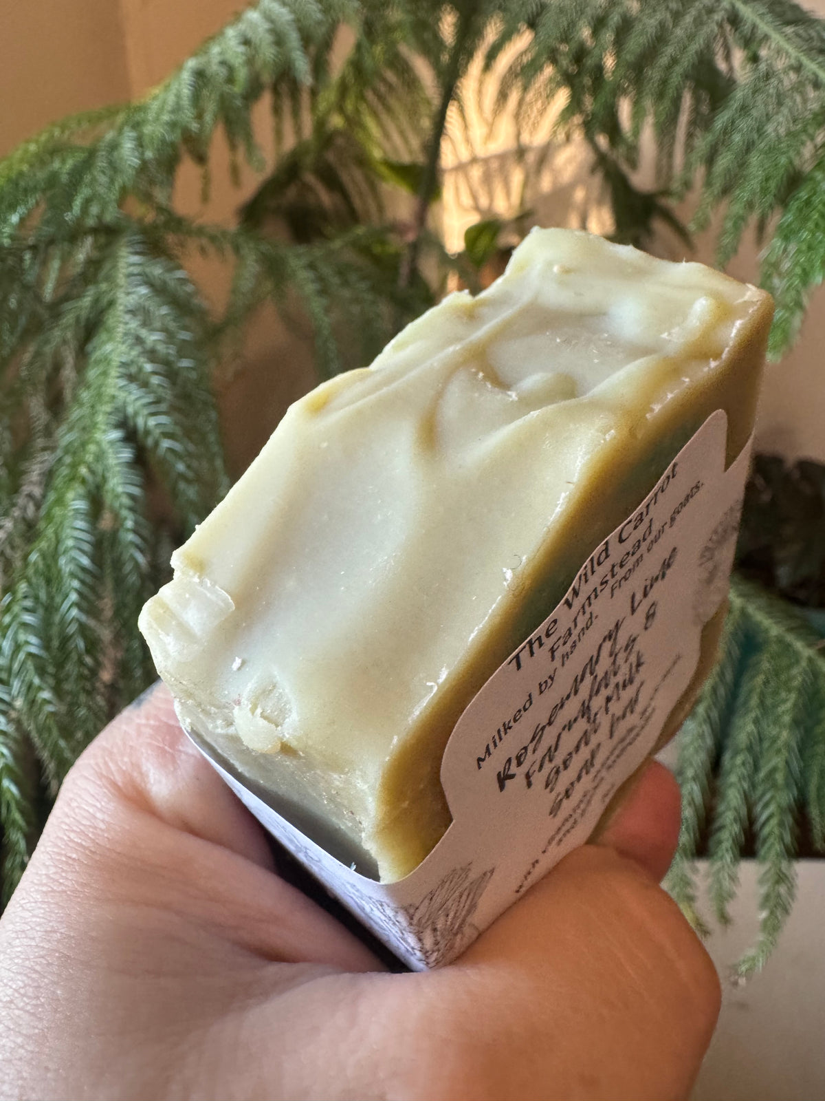 Rosemary Lime Farm Fats & Goat Milk Soap (7oz bar)