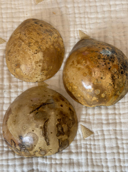 Seed-to-Bowl Gourds, Ladles, and Birdhouses (farm grown & crafted from beginning to end)