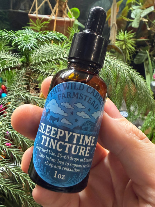 Sleepy Time Tincture (1oz glass dropper)
