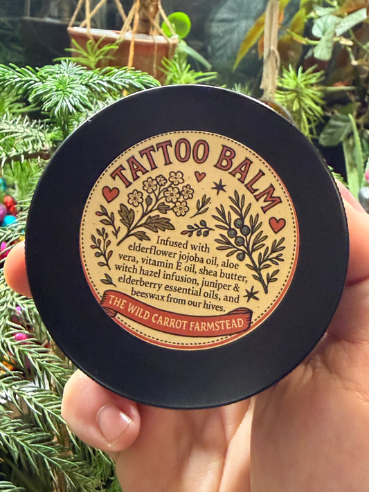 Infused Herbal Tallow Tattoo Balm (large 4oz tin)
