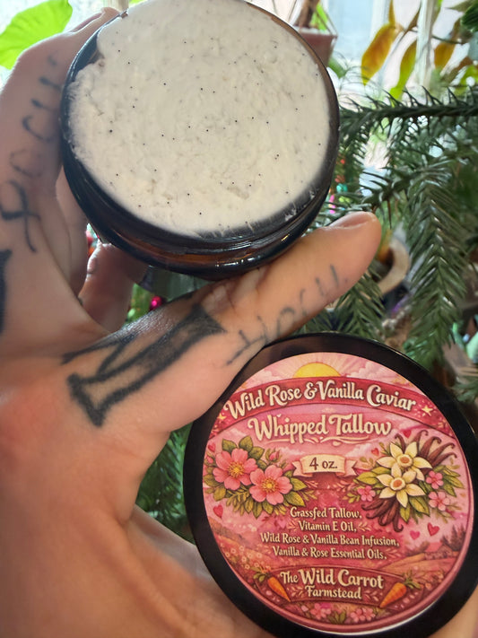 Wild Rose & Vanilla Caviar Whipped Tallow | 4 oz glass jar