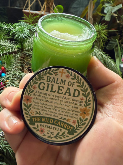 Balm of Gilead (2oz glass jar)