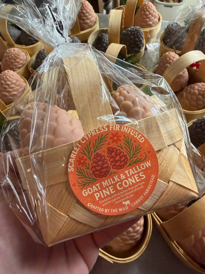 Goat Milk & Tallow Pine Cones — Winter Folk Collection (2 cones in a basket)