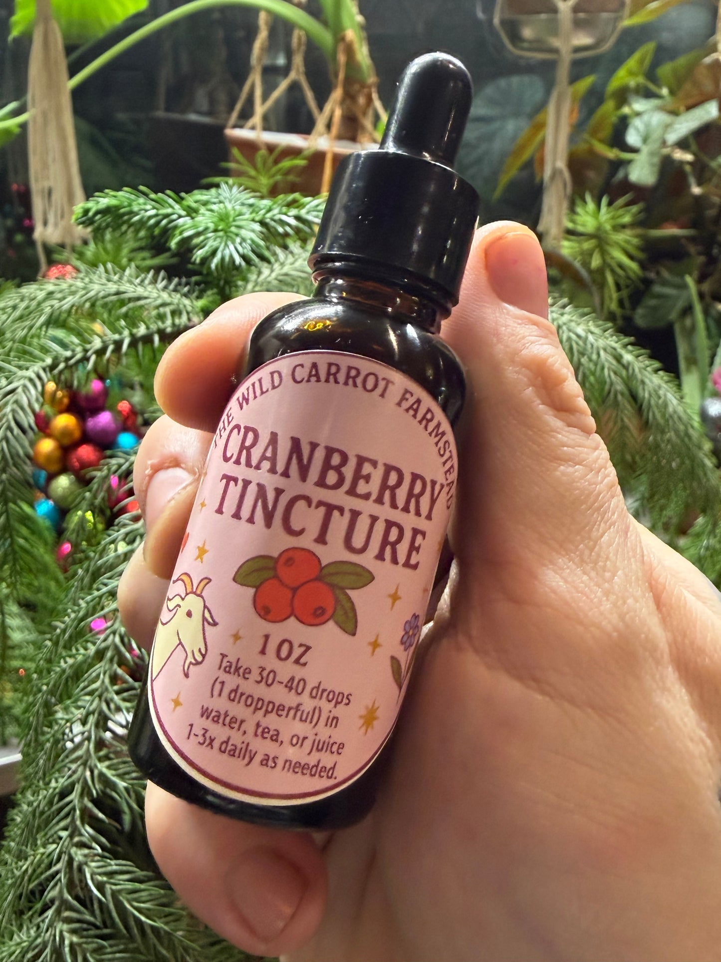 Cranberry Tincture for Women’s Health (1oz glass dropper)